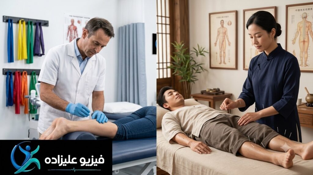 درای نیدلینگ در فیزیوتراپی برای درمان دردهای عضلانی و نقاط ماشهای طب سوزنی دیسک کمر دیسک گردن سوزن خشک آرتروز